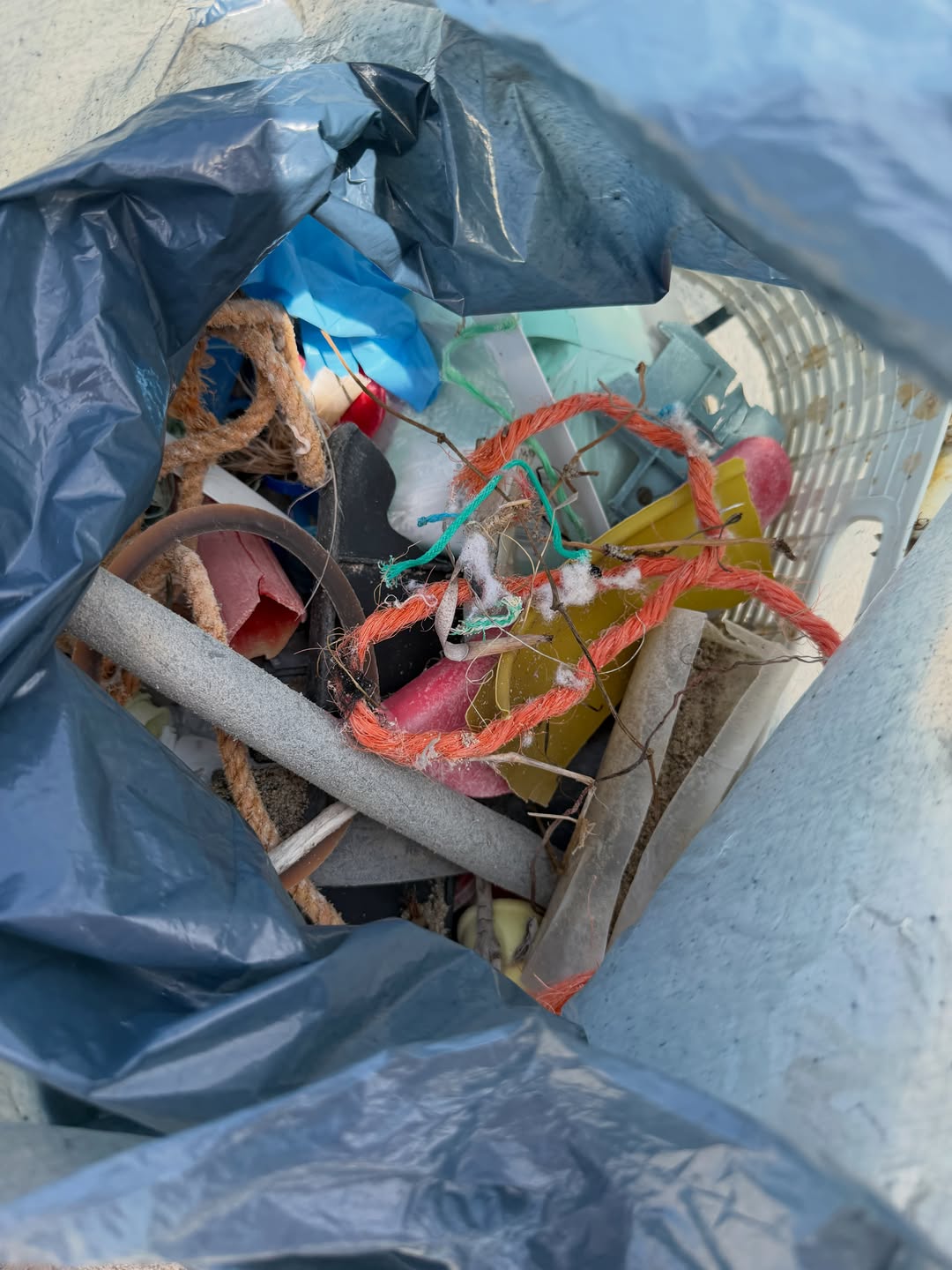 Formentera cleanup photo